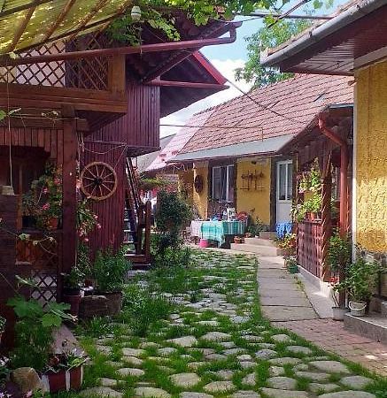 Cîrţişoara Casa Boierului Imbriヴィラ エクステリア 写真
