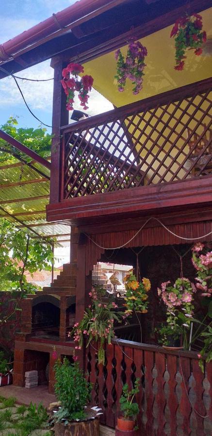 Cîrţişoara Casa Boierului Imbriヴィラ エクステリア 写真