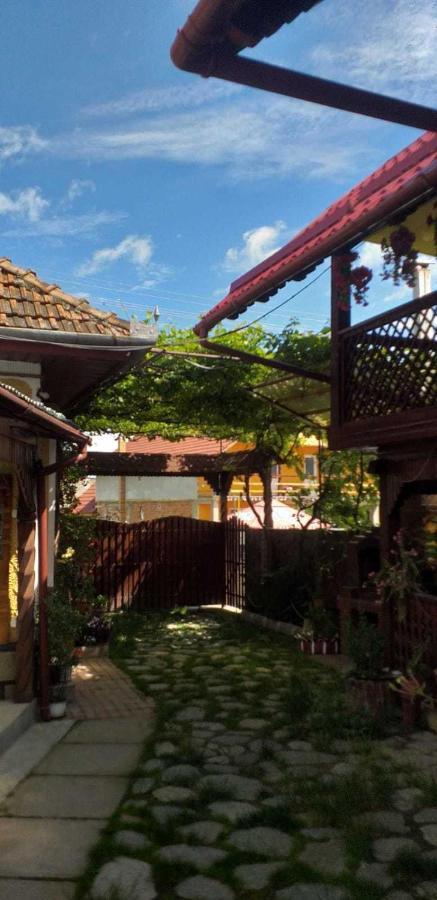 Cîrţişoara Casa Boierului Imbriヴィラ エクステリア 写真