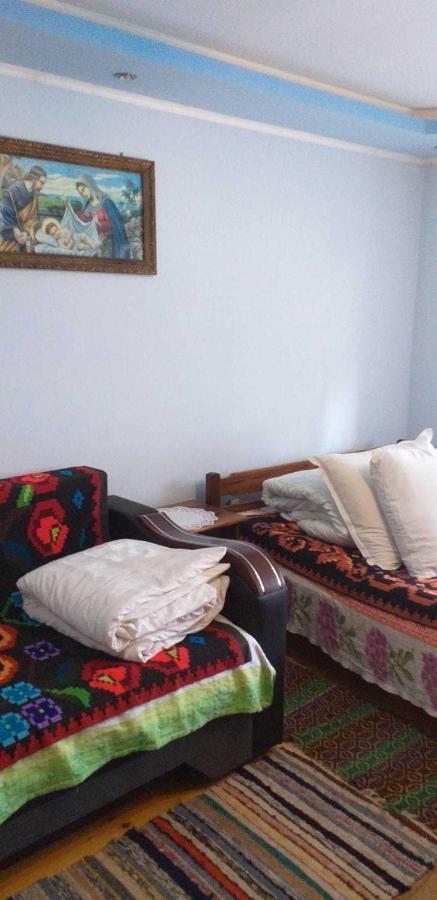 Cîrţişoara Casa Boierului Imbriヴィラ エクステリア 写真