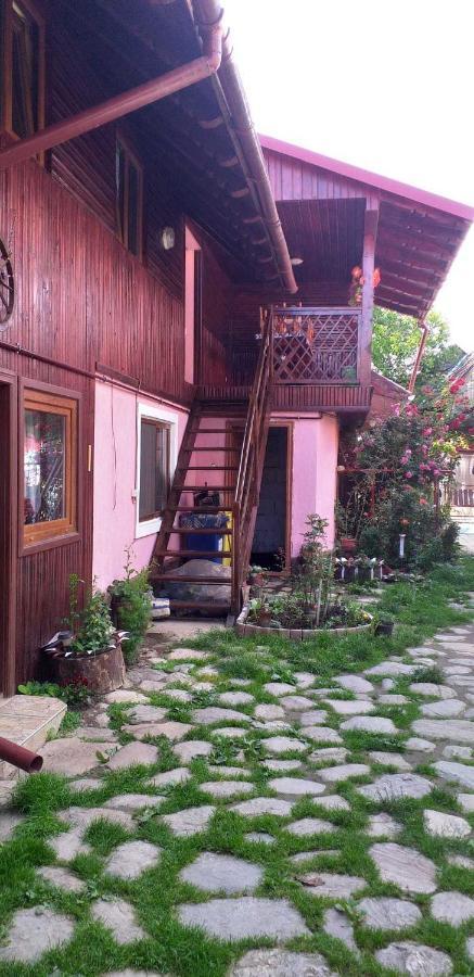Cîrţişoara Casa Boierului Imbriヴィラ エクステリア 写真