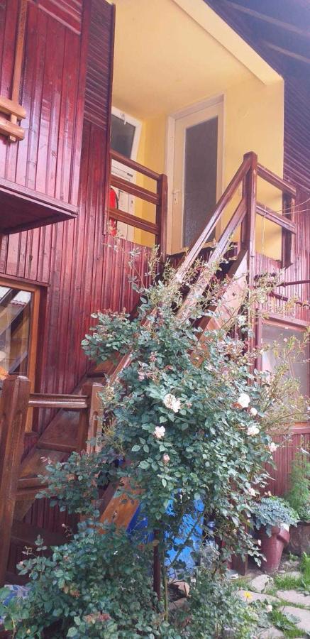 Cîrţişoara Casa Boierului Imbriヴィラ エクステリア 写真