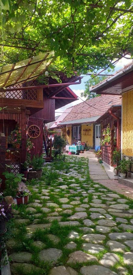 Cîrţişoara Casa Boierului Imbriヴィラ エクステリア 写真