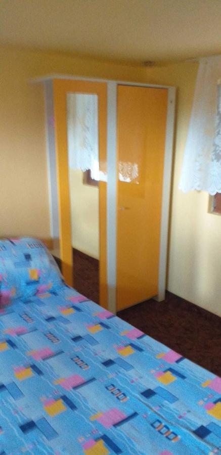 Cîrţişoara Casa Boierului Imbriヴィラ エクステリア 写真