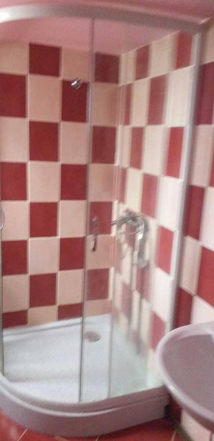 Cîrţişoara Casa Boierului Imbriヴィラ エクステリア 写真