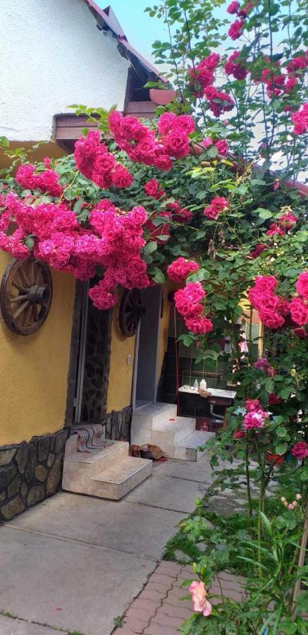 Cîrţişoara Casa Boierului Imbriヴィラ エクステリア 写真